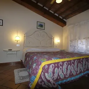Oliviera Pienza